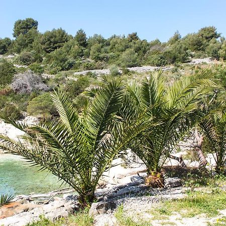 Vila Tatinja Trogir Dış mekan fotoğraf