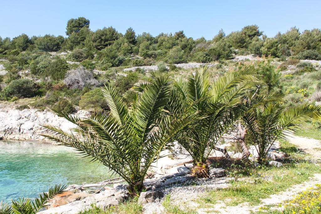 Vila Tatinja Trogir Dış mekan fotoğraf